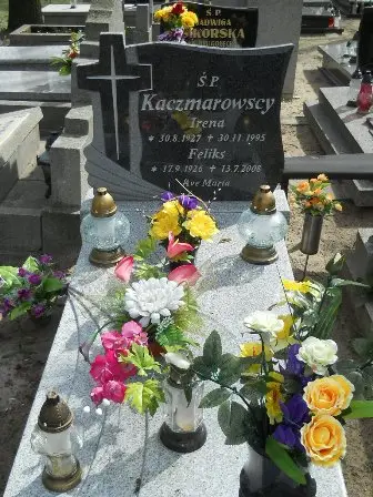 Zdjęcie grobu 27/100