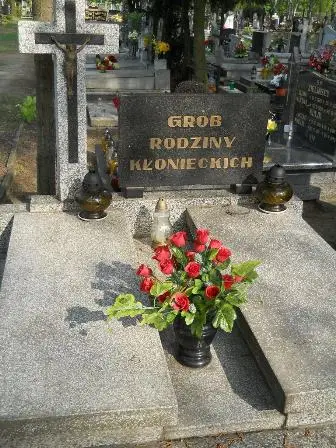 Zdjęcie grobu 33/100