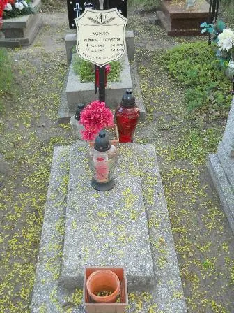 Zdjęcie grobu 7b/83