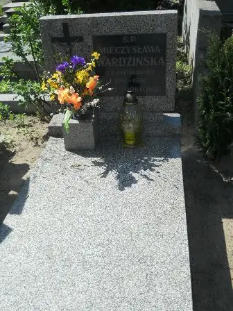 Zdjęcie grobu 28/100