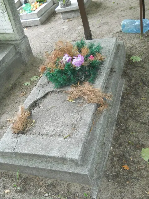 Zdjęcie grobu 13/29634