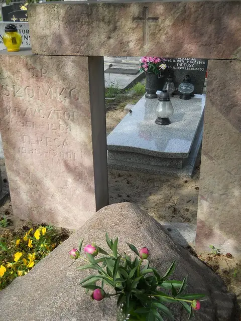 Zdjęcie grobu 7/11283