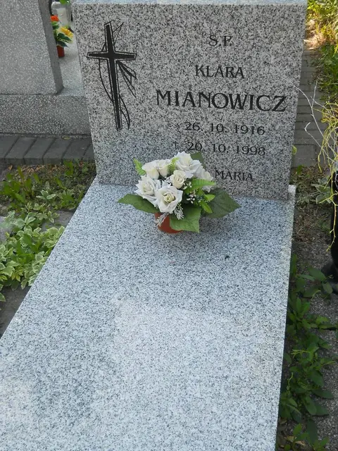 Zdjęcie grobu 7/11916