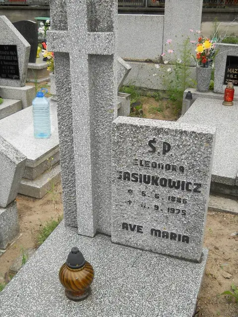 Zdjęcie grobu 5/22368