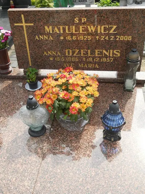 Zdjęcie grobu 16/26311