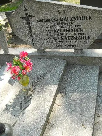 Zdjęcie grobu 30/136,137