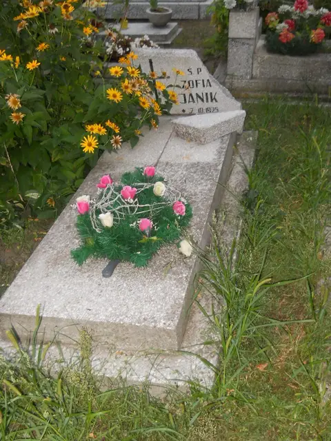 Zdjęcie grobu 21/29100
