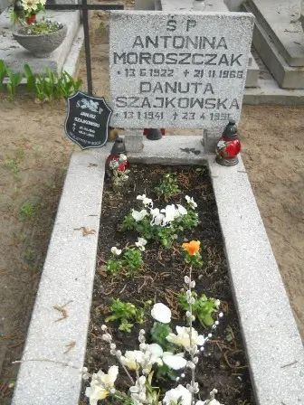 Zdjęcie grobu 33/312