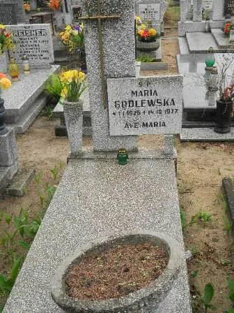 Zdjęcie grobu 36/255