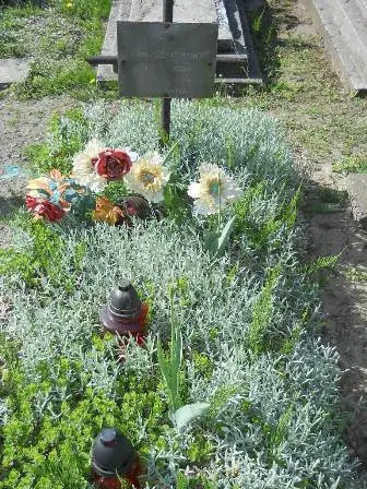 Zdjęcie grobu 24/272