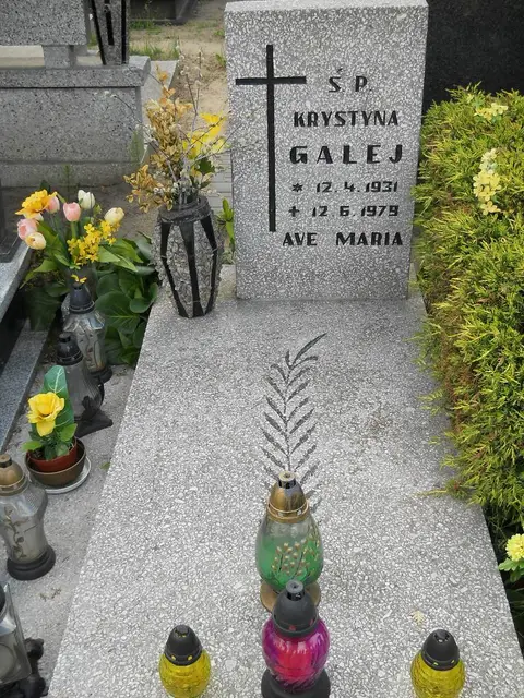 Zdjęcie grobu 7/11770