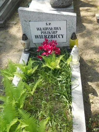 Zdjęcie grobu 11/117