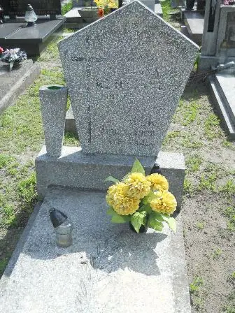 Zdjęcie grobu 25/238