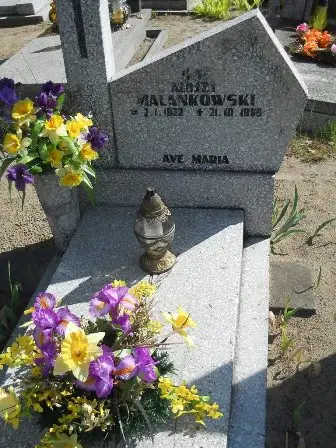 Zdjęcie grobu 46/59
