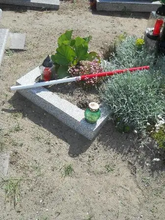 Zdjęcie grobu 26/100