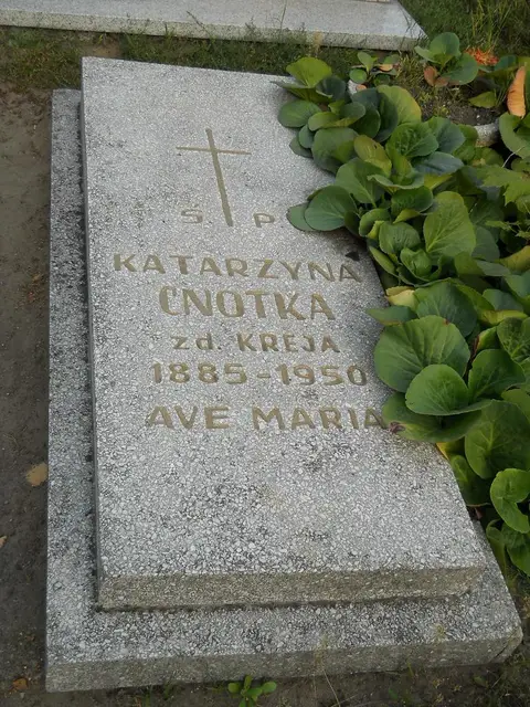 Zdjęcie grobu 14/28933