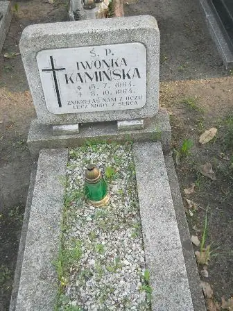 Zdjęcie grobu 7b/100