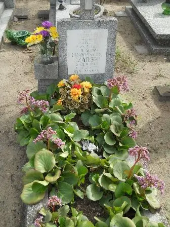Zdjęcie grobu 27/249