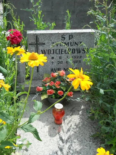 Zdjęcie grobu 27/22843