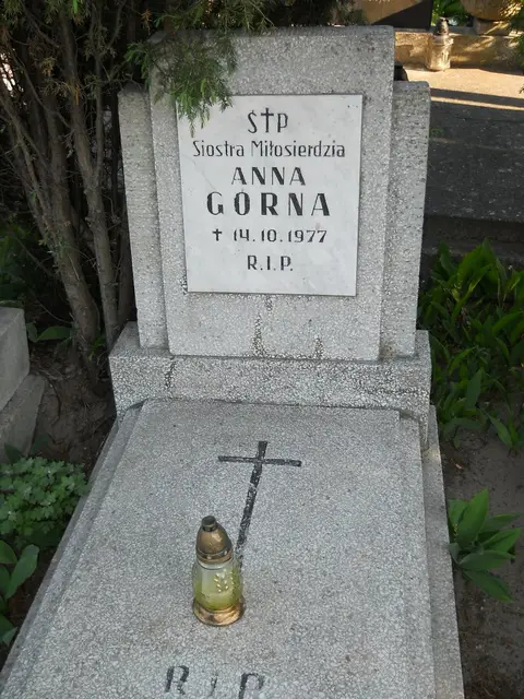 Zdjęcie grobu C/12108