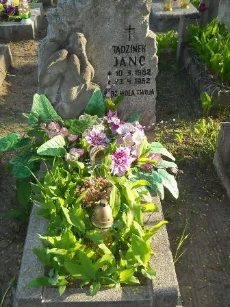 Zdjęcie grobu 7b/100