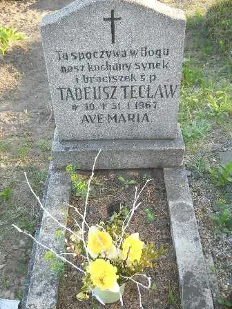 Zdjęcie grobu 7b/100