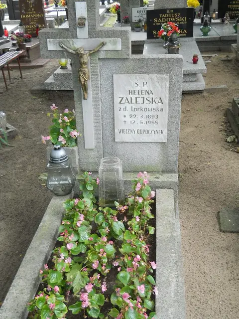 Zdjęcie grobu 13/29624