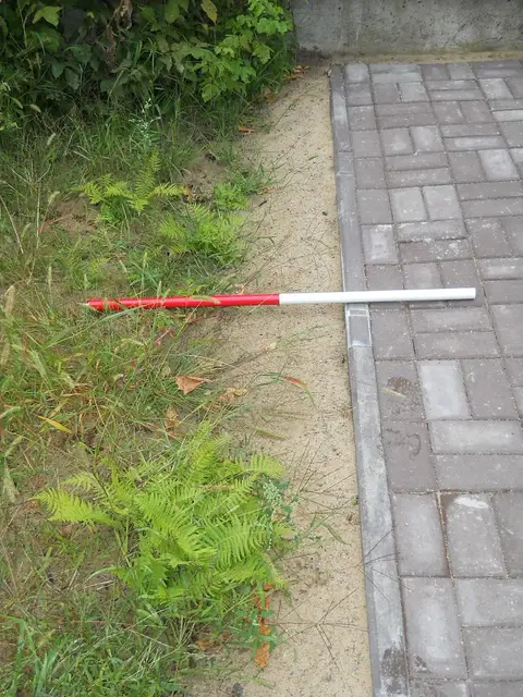 Zdjęcie grobu 14/25962