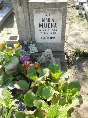 Zdjęcie grobu 11/100