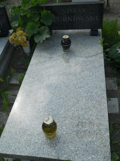 Zdjęcie grobu 7/11761
