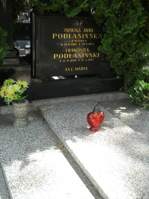 Zdjęcie grobu 6/24265