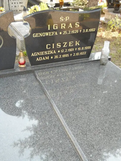 Zdjęcie grobu 14/27690
