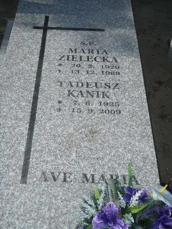 Zdjęcie grobu 20/133