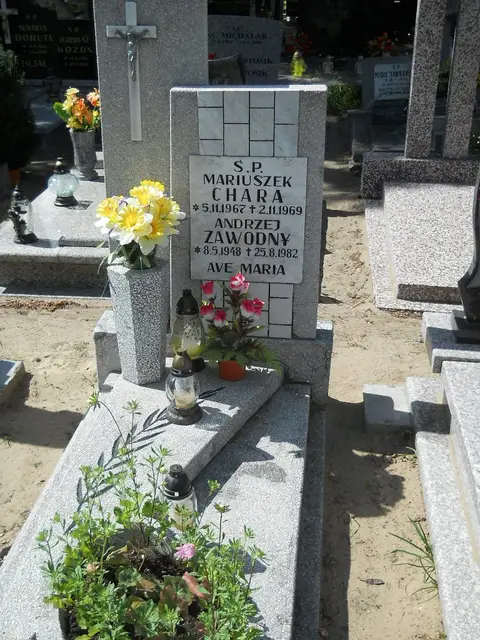 Zdjęcie grobu 6/24354