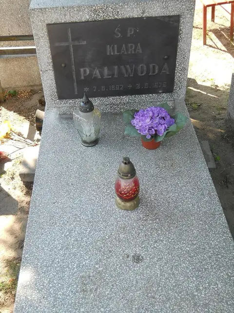 Zdjęcie grobu 7/11877