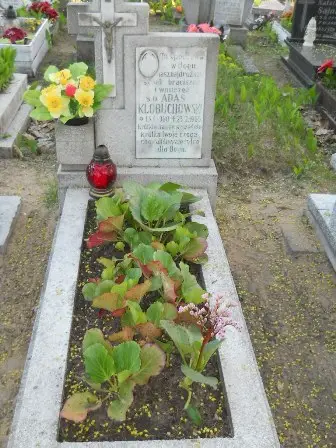 Zdjęcie grobu 7b/100