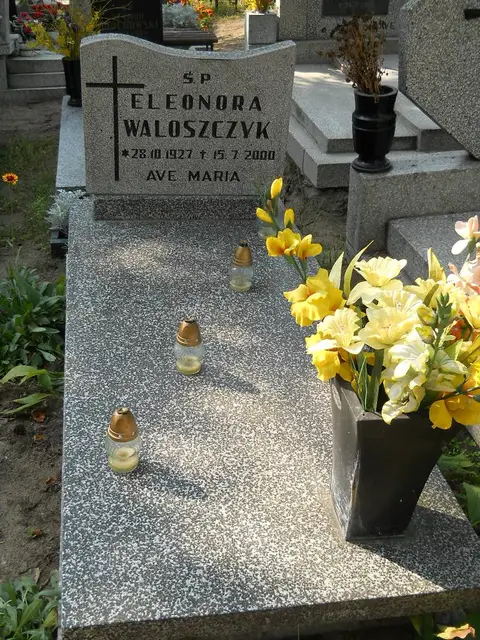 Zdjęcie grobu 19/28507