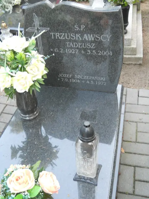 Zdjęcie grobu 14/26853