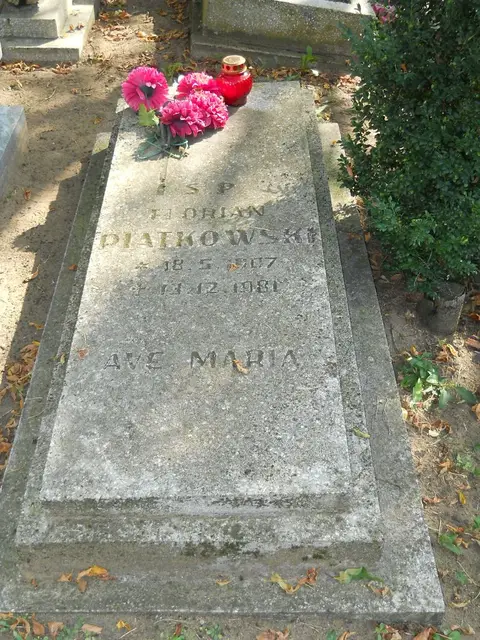 Zdjęcie grobu 19/28553