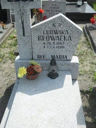 Zdjęcie grobu 25/236