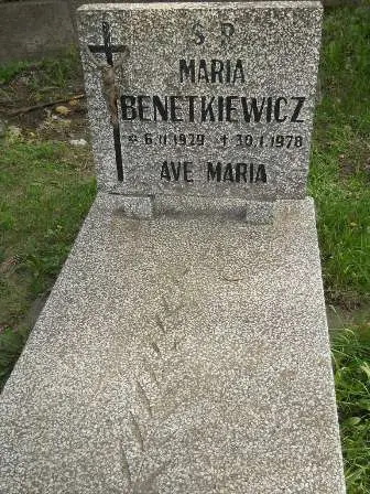 Zdjęcie grobu 9/140