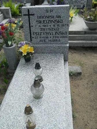 Zdjęcie grobu 41/208