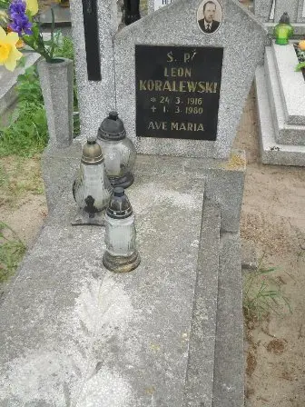 Zdjęcie grobu 22/100