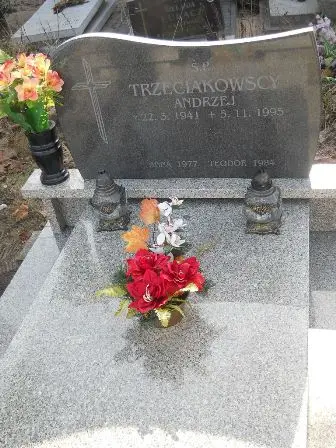 Zdjęcie grobu 8/125,126gł