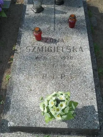 Zdjęcie grobu 24/100