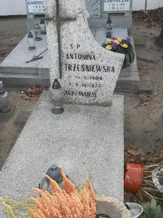 Zdjęcie grobu 8/115
