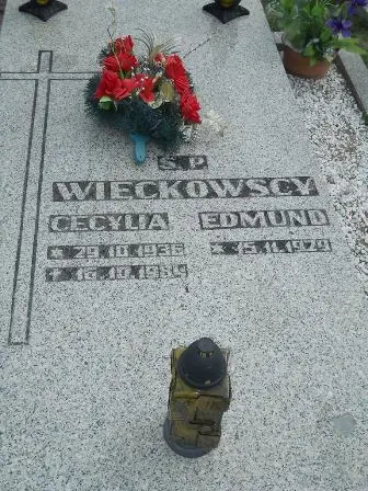 Zdjęcie grobu 44/36,36