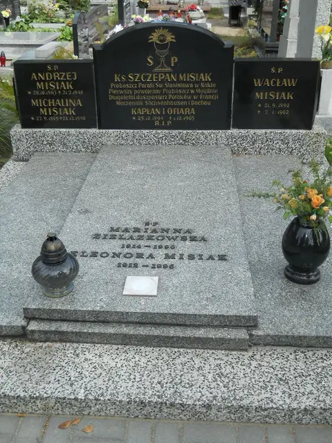 Zdjęcie grobu 9/24117
