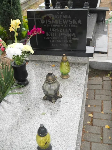 Zdjęcie grobu 16/26138