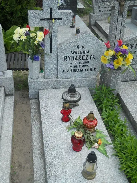 Zdjęcie grobu 7/11537